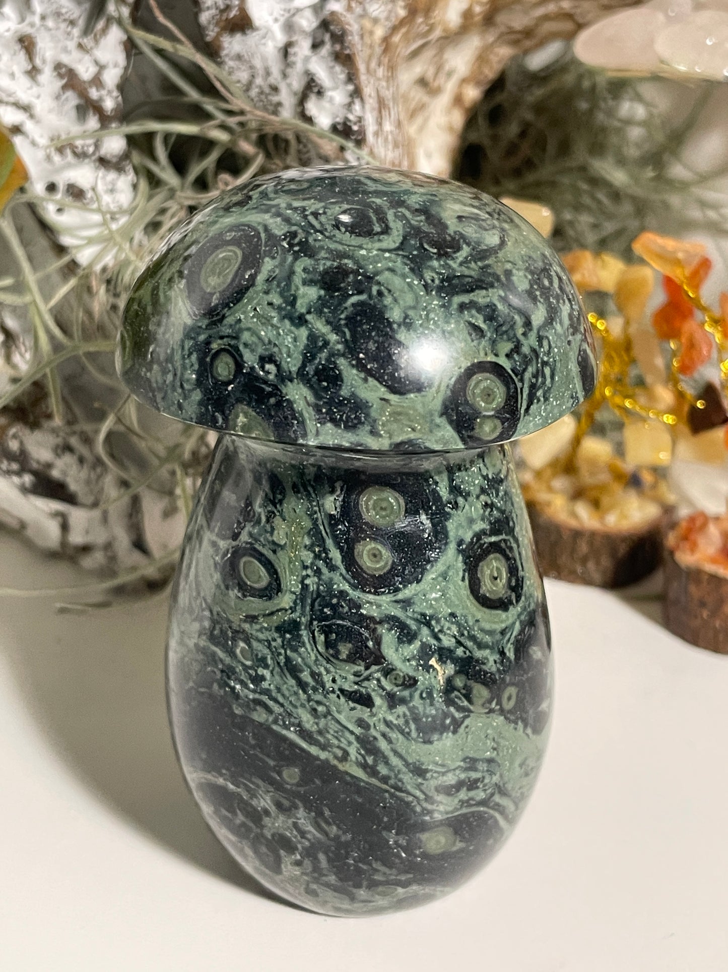 Kambaba Jasper mushroom