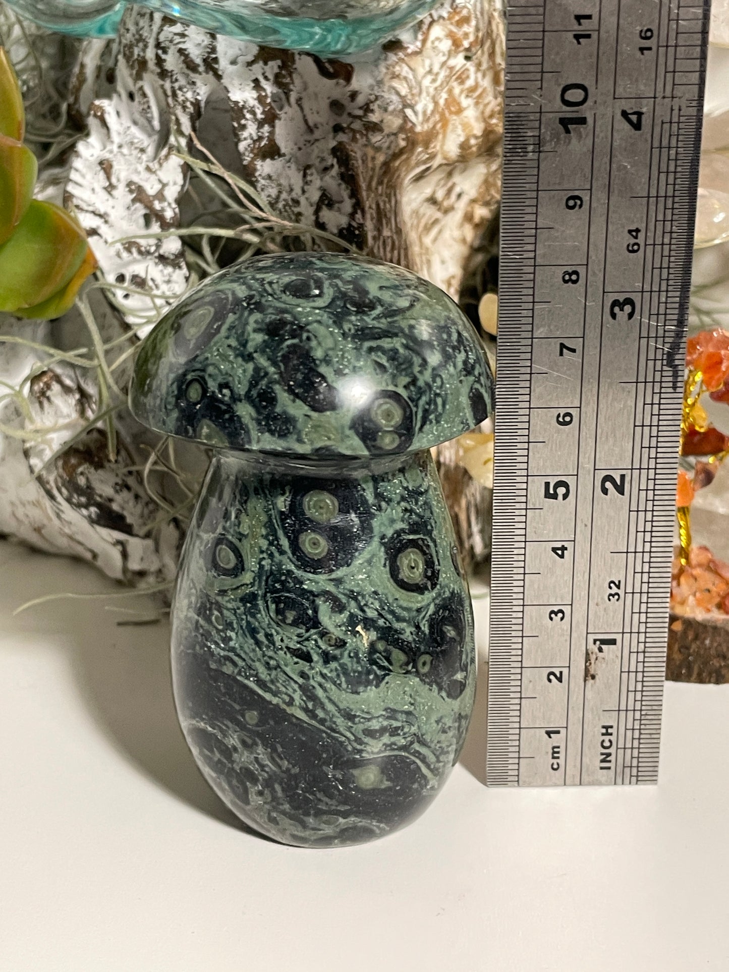 Kambaba Jasper mushroom