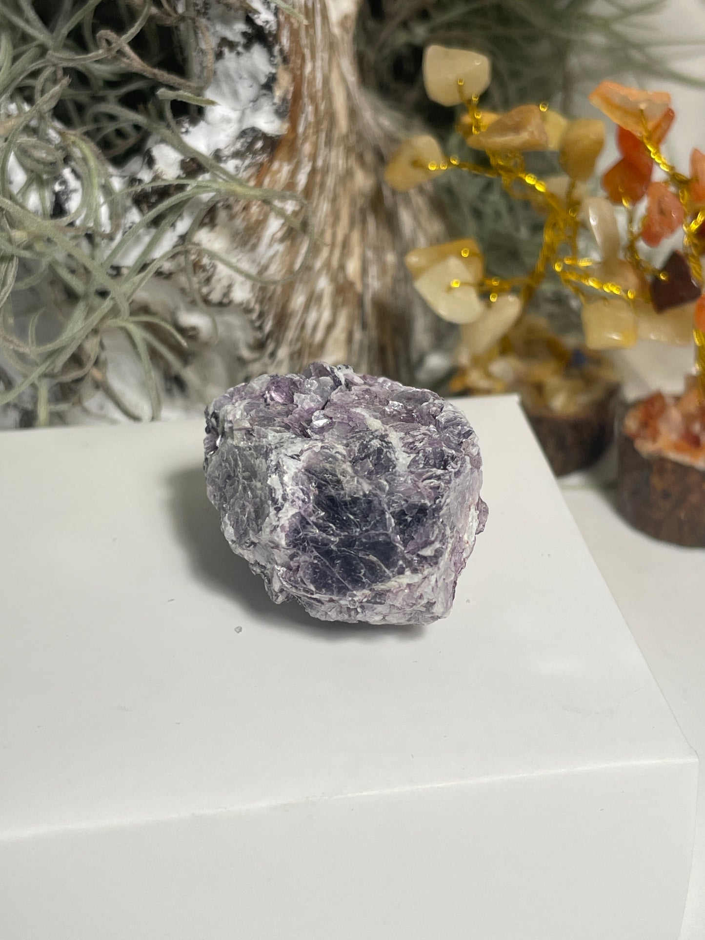 Lepidolite blade cluster