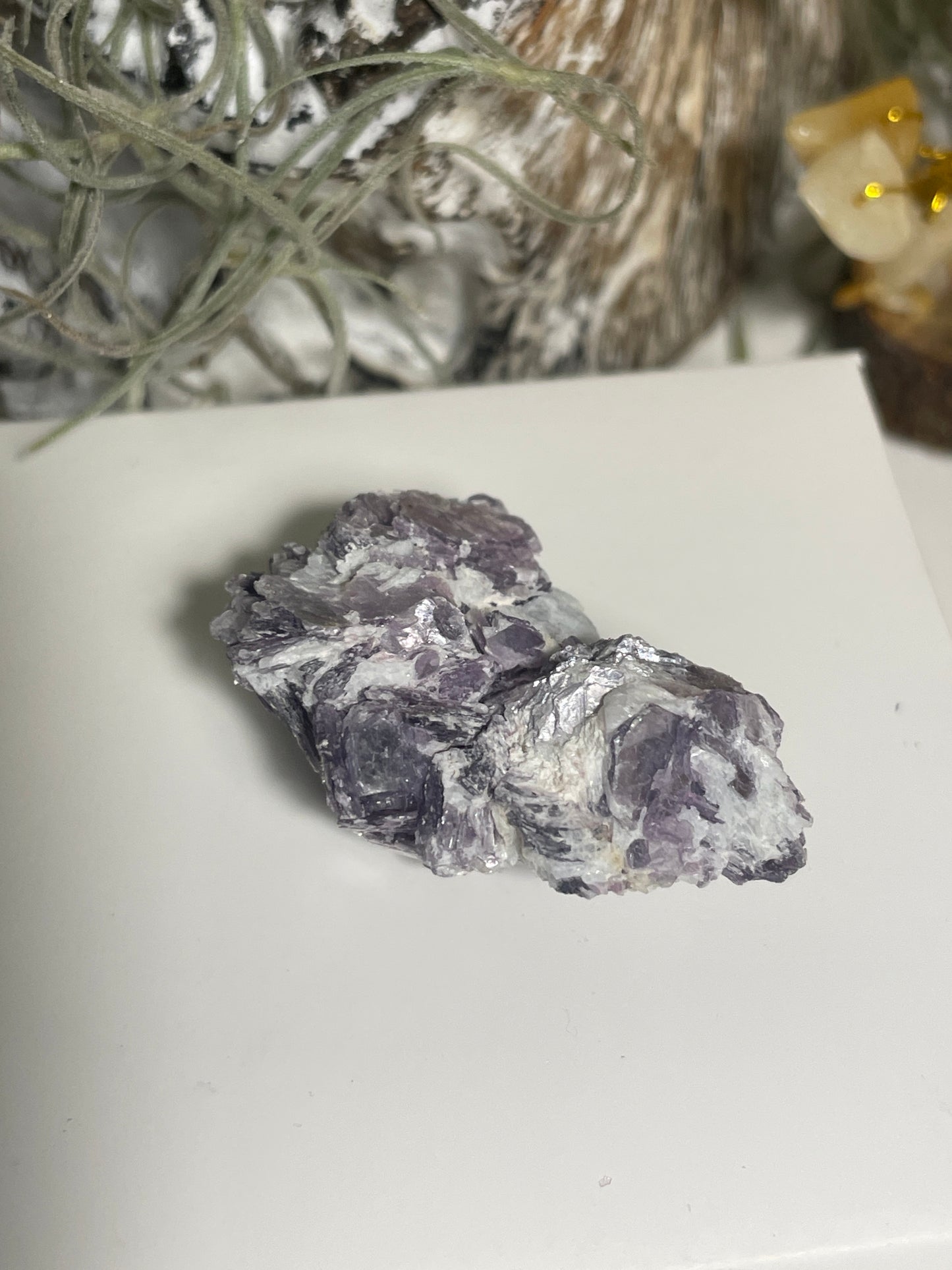 Lepidolite blade cluster