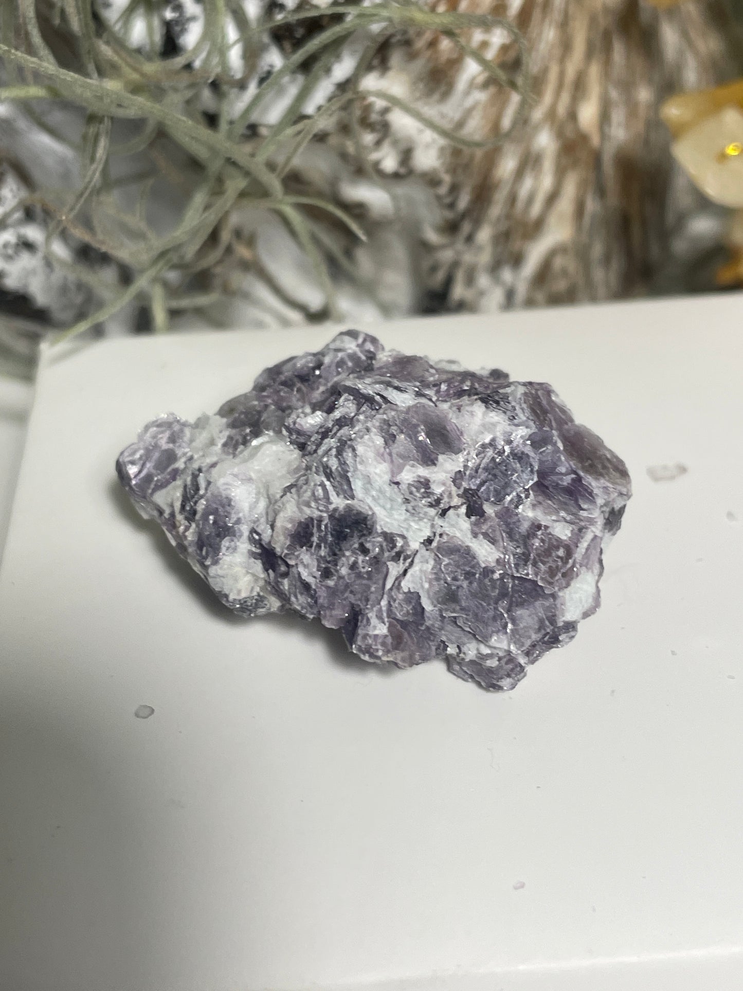 Lepidolite blade cluster