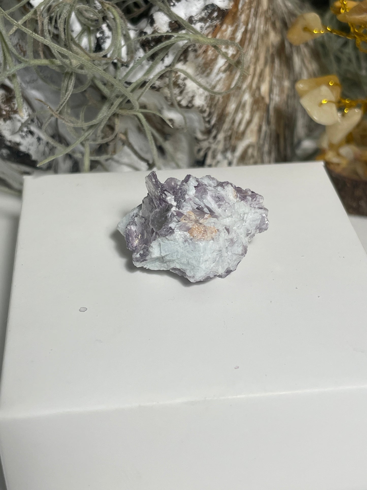 Lepidolite blade cluster