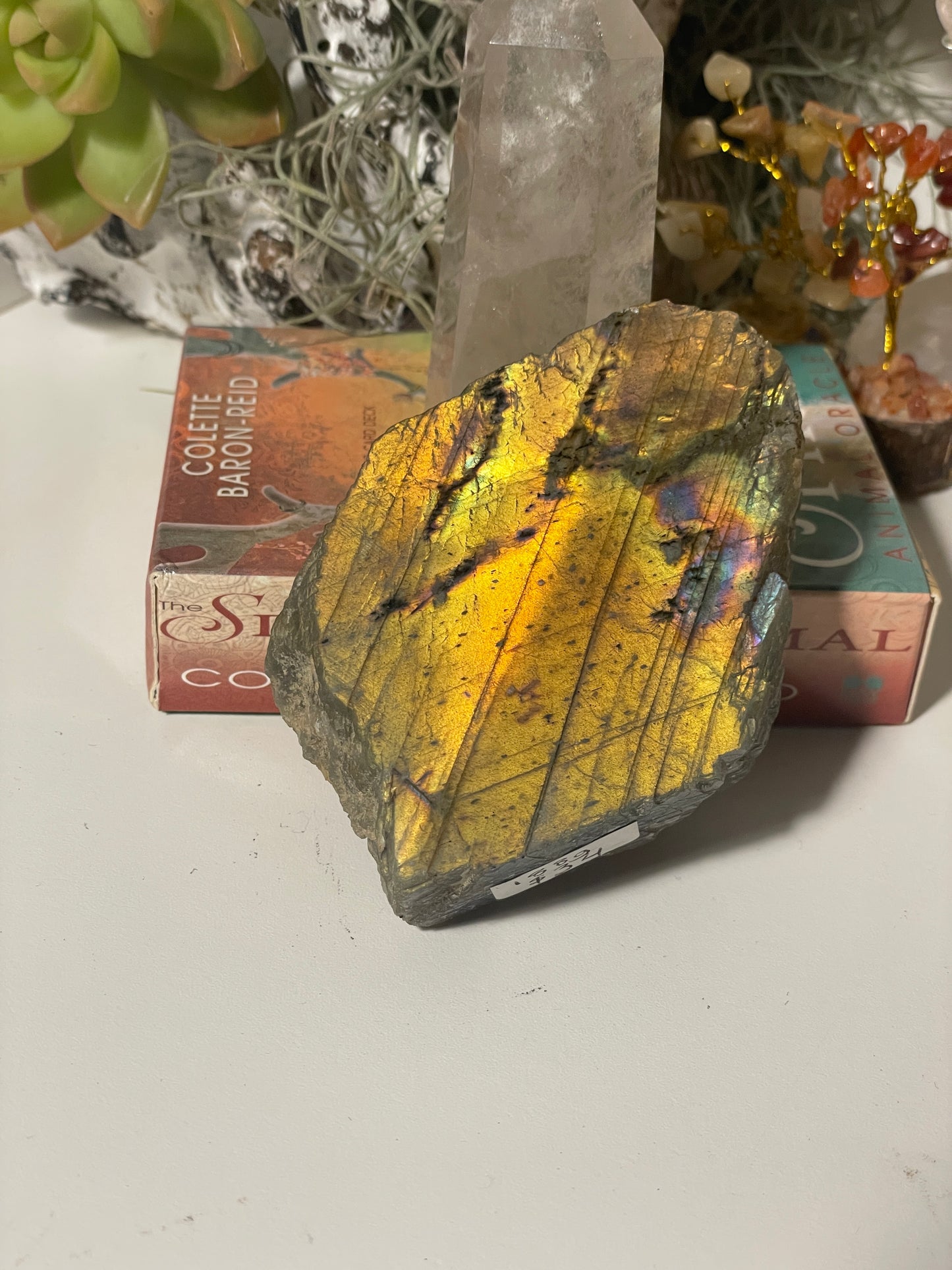 Labradorite polished face