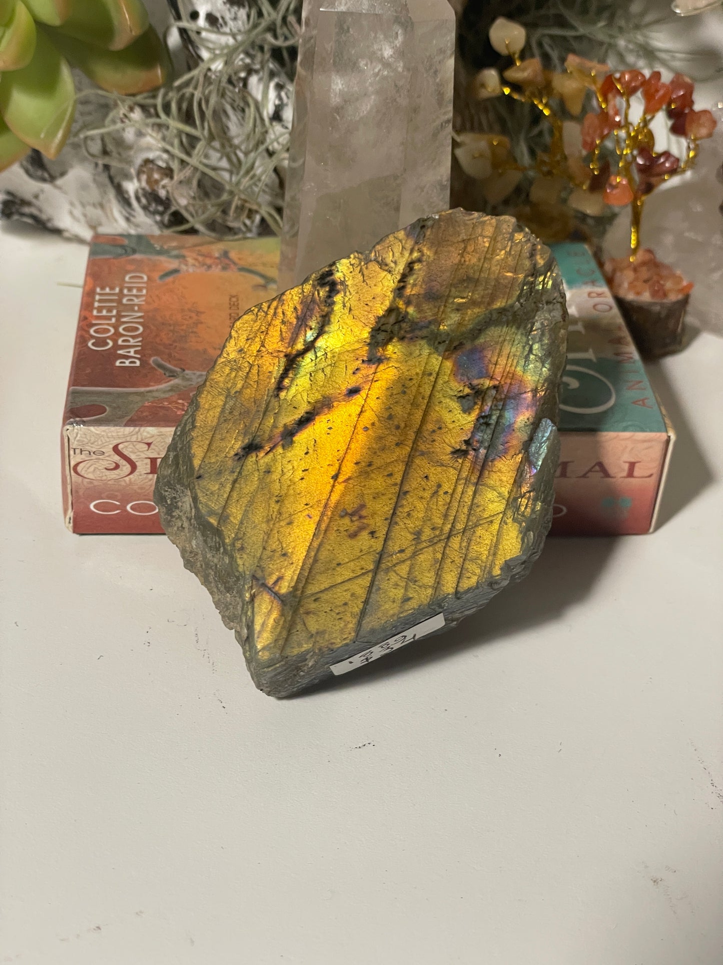 Labradorite polished face