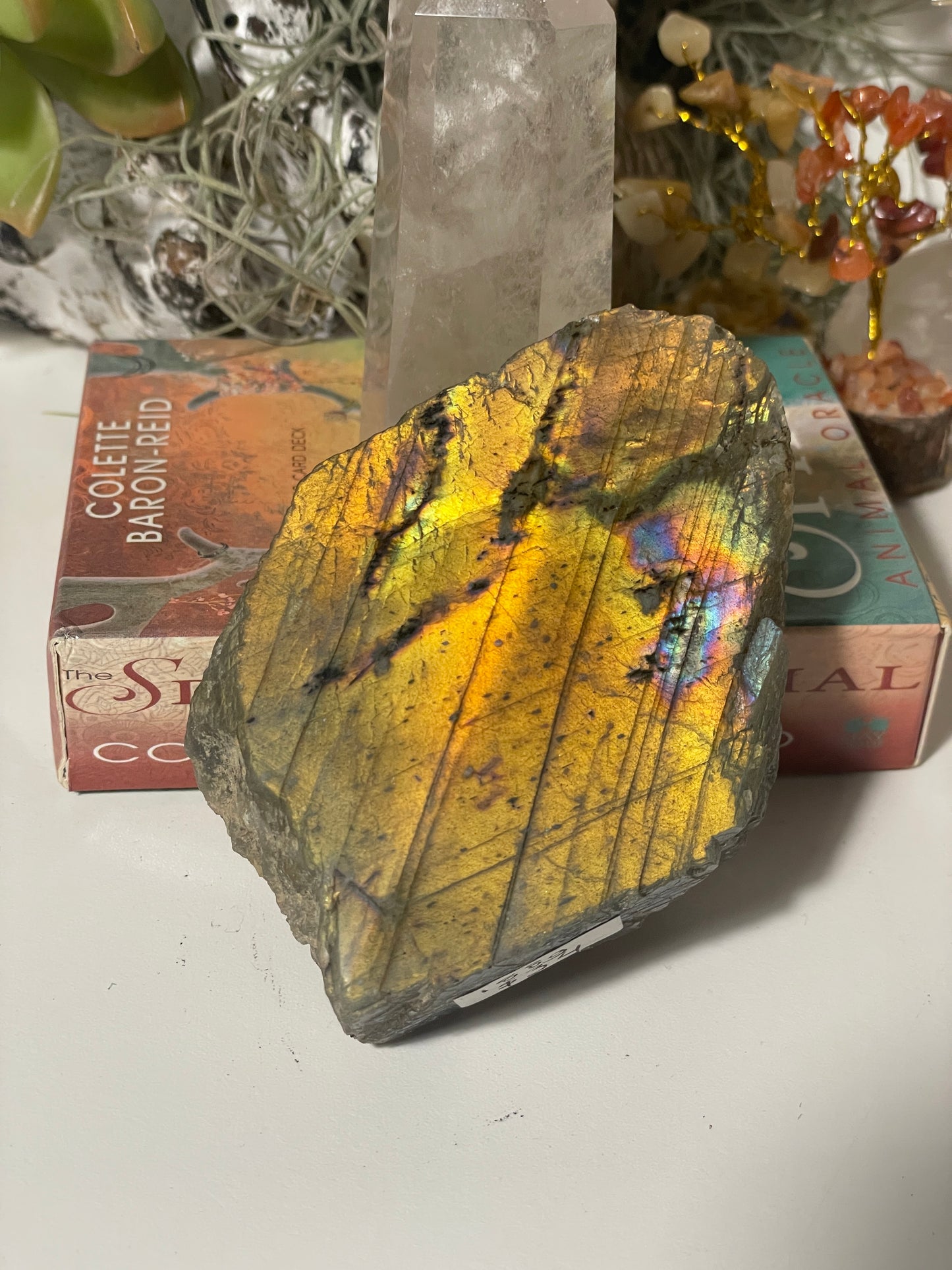 Labradorite polished face