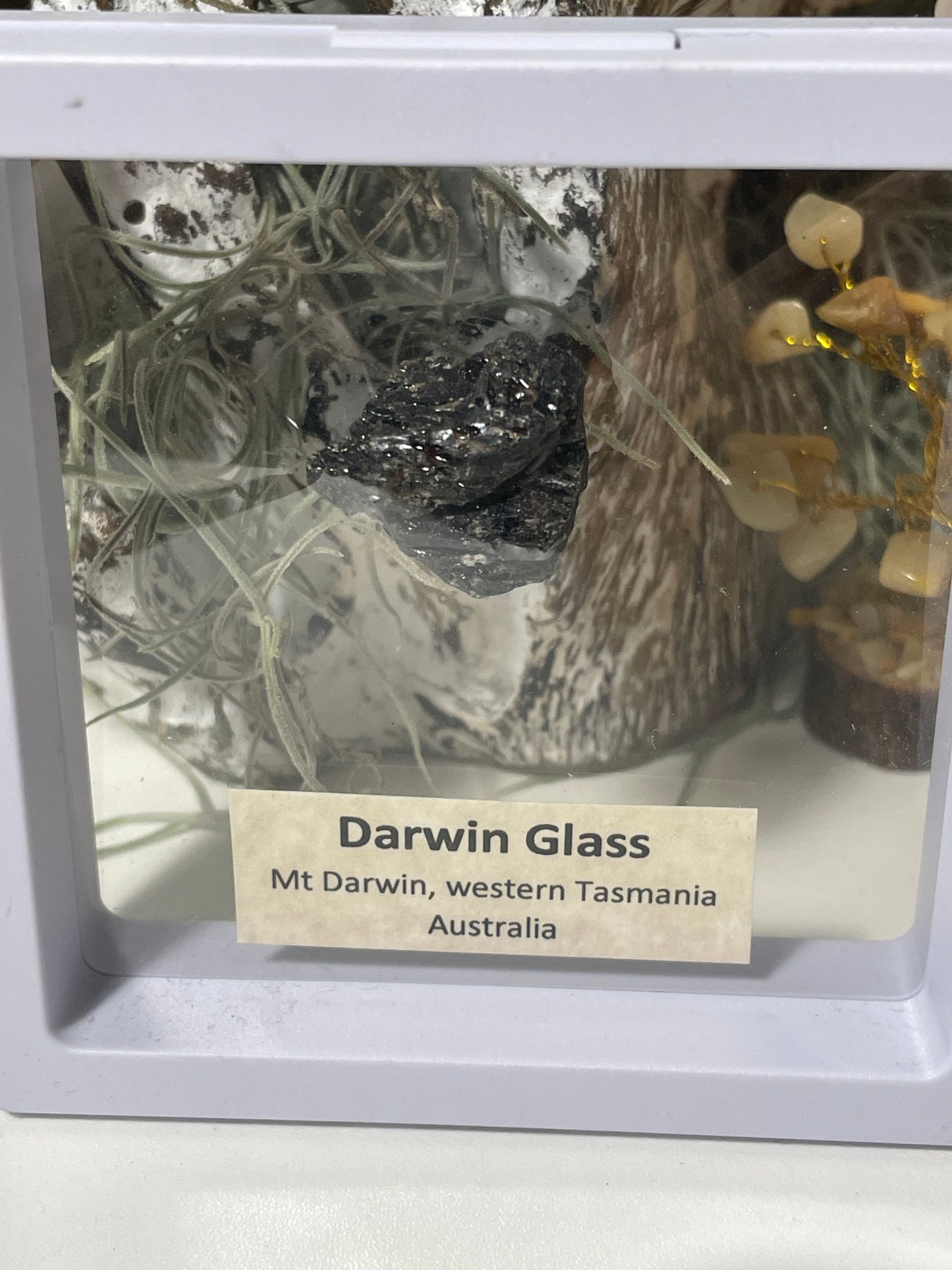 Darwin glass tektite meteorite