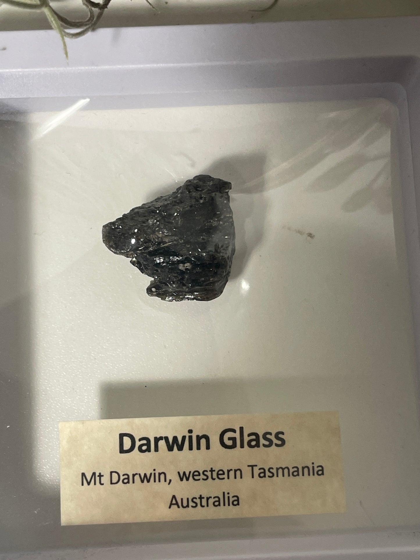 Darwin glass tektite meteorite