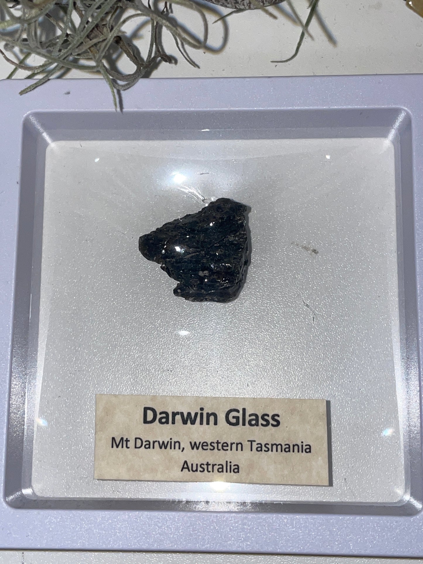 Darwin glass tektite meteorite