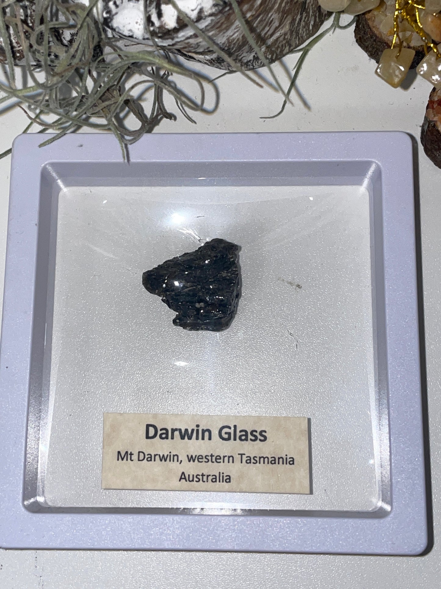 Darwin glass tektite meteorite