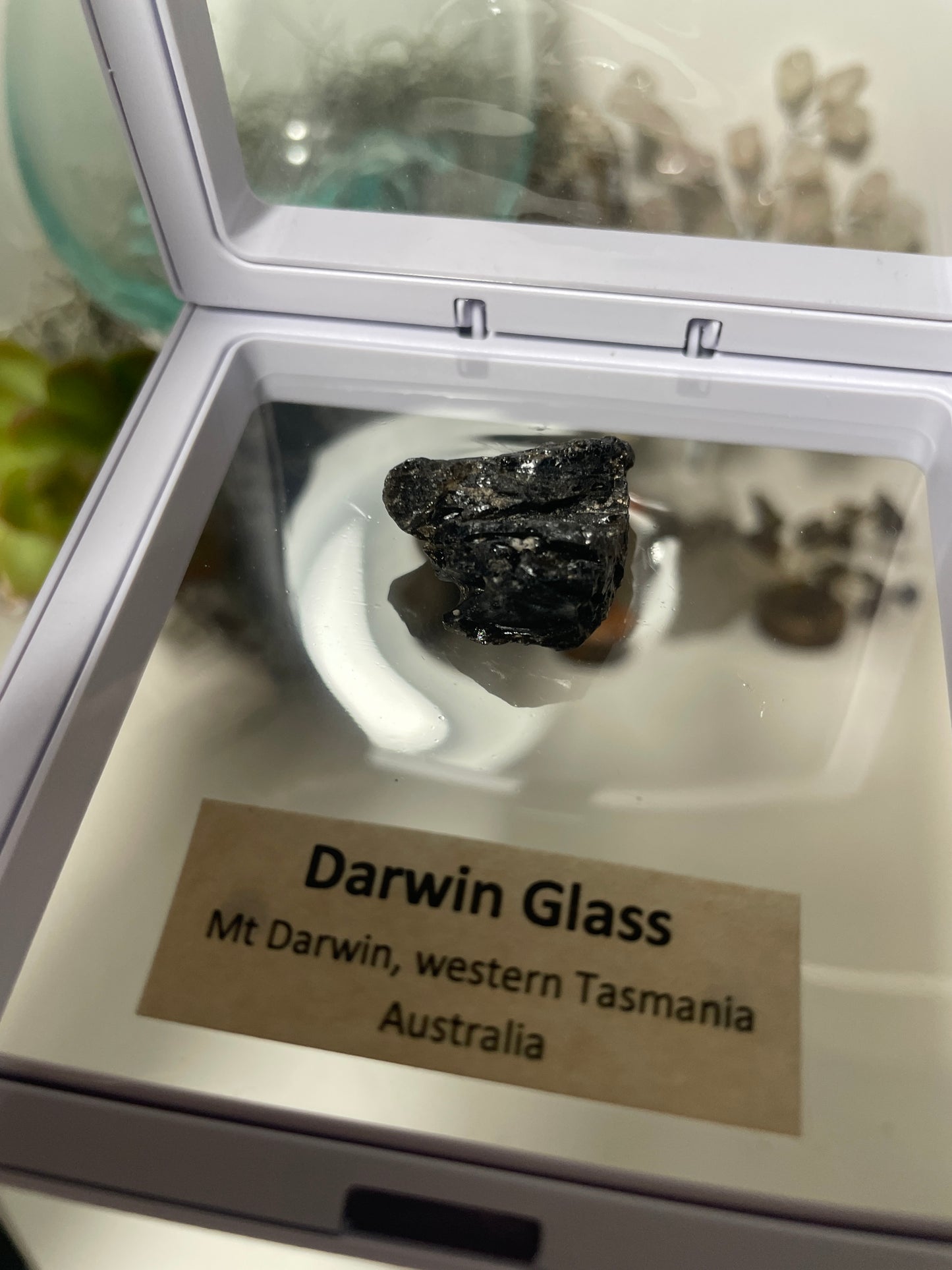 Darwin glass tektite meteorite