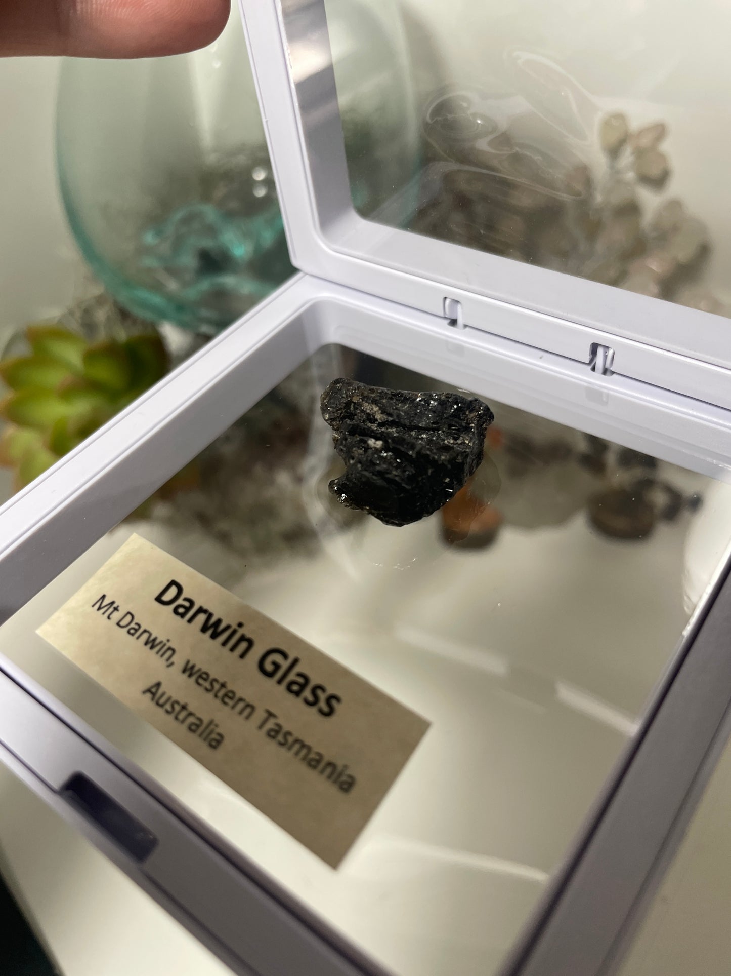 Darwin glass tektite meteorite