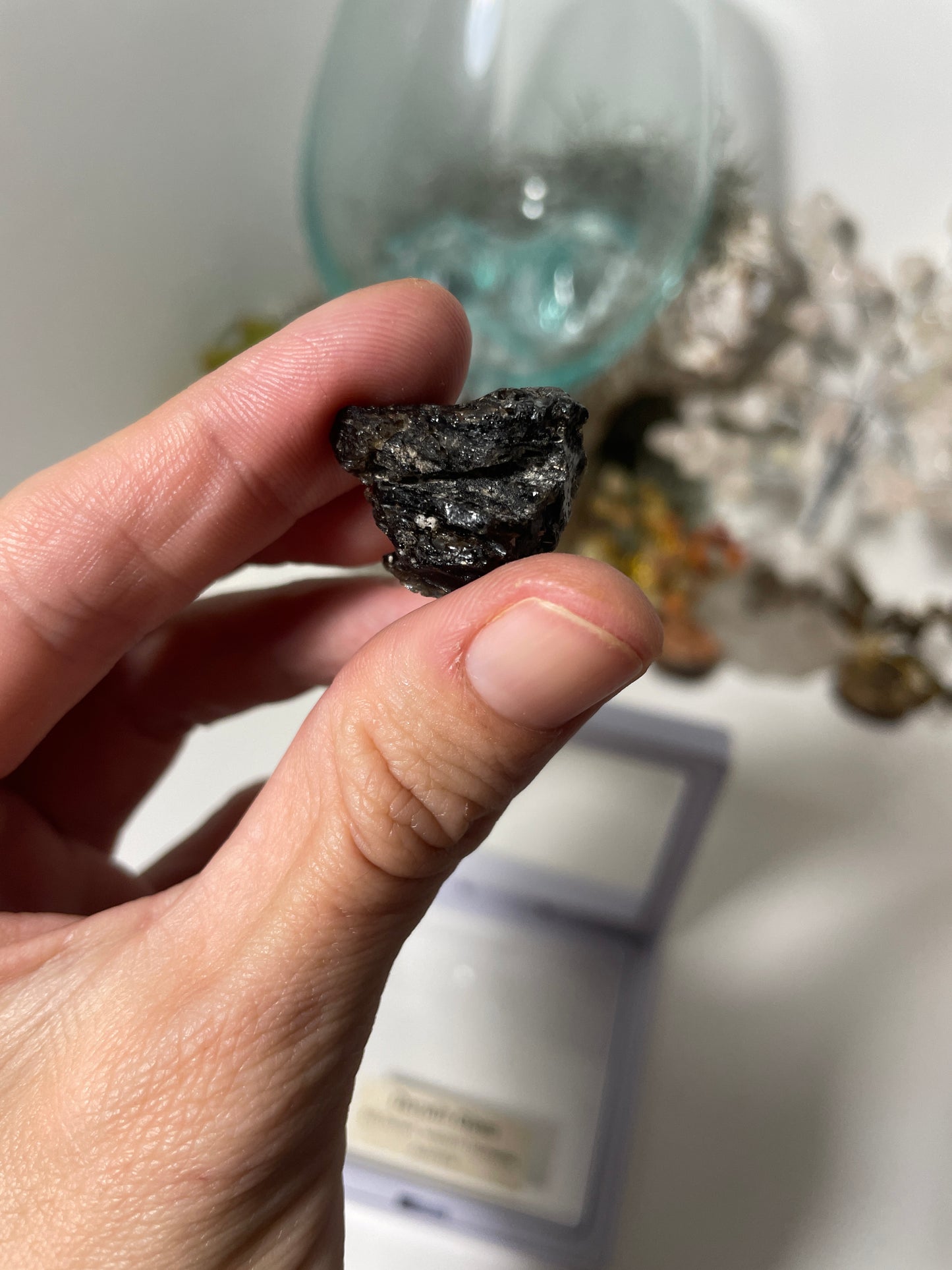 Darwin glass tektite meteorite