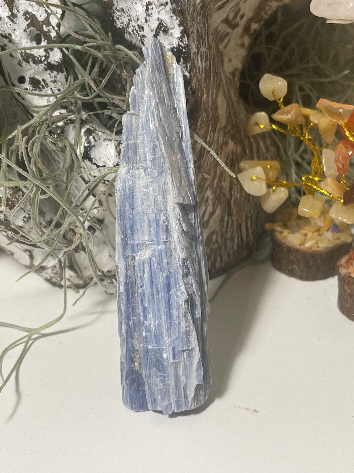 Blue kyanite