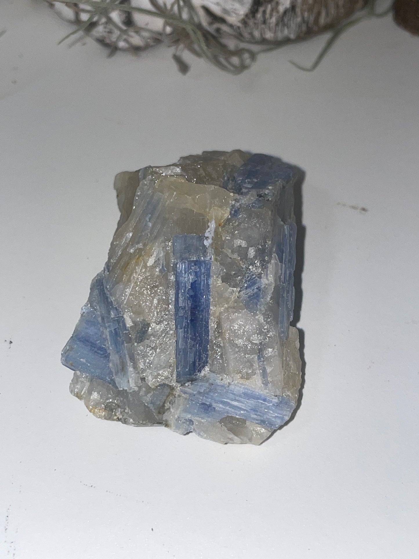 Blue kyanite cluster