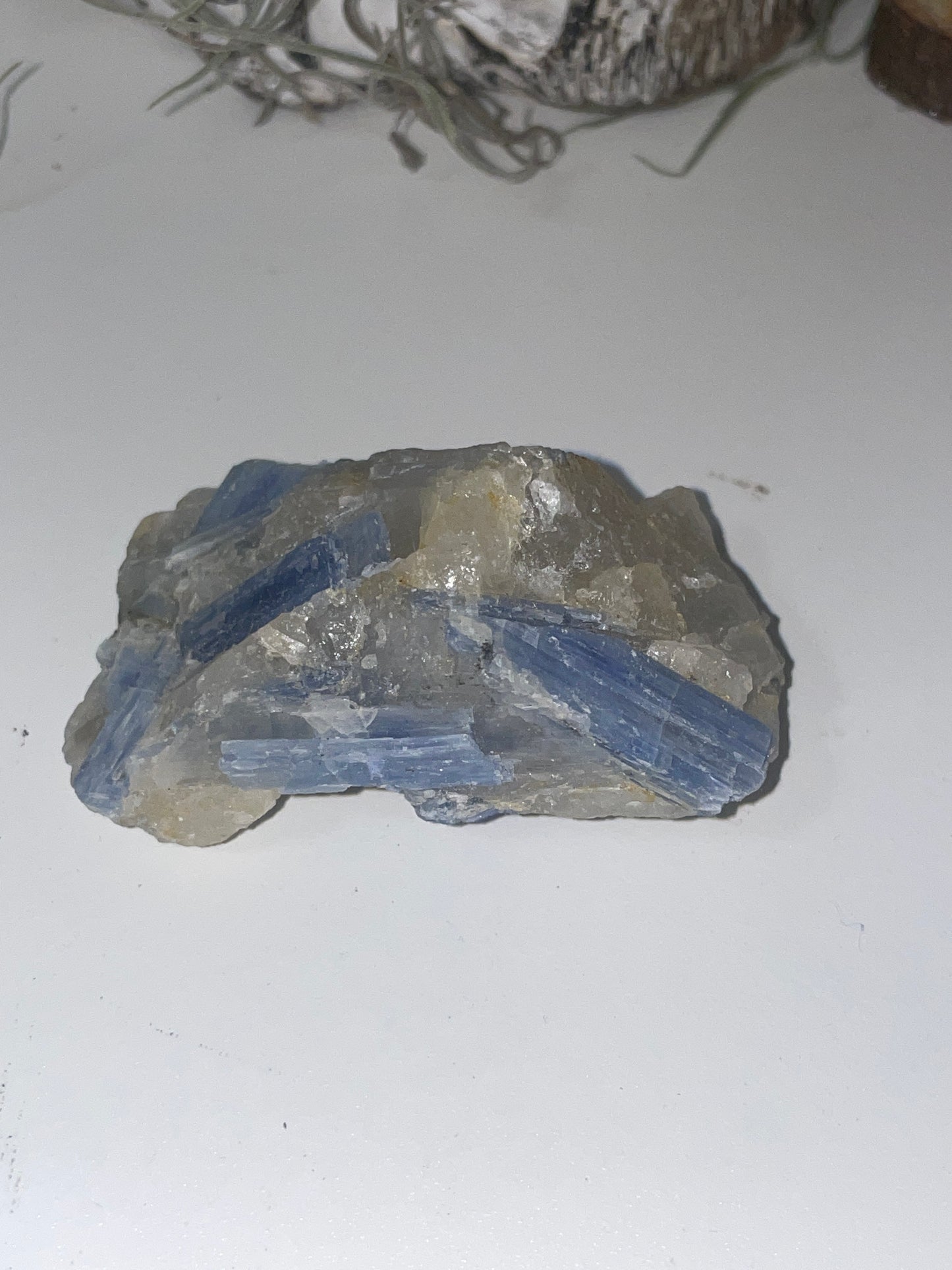 Blue kyanite cluster
