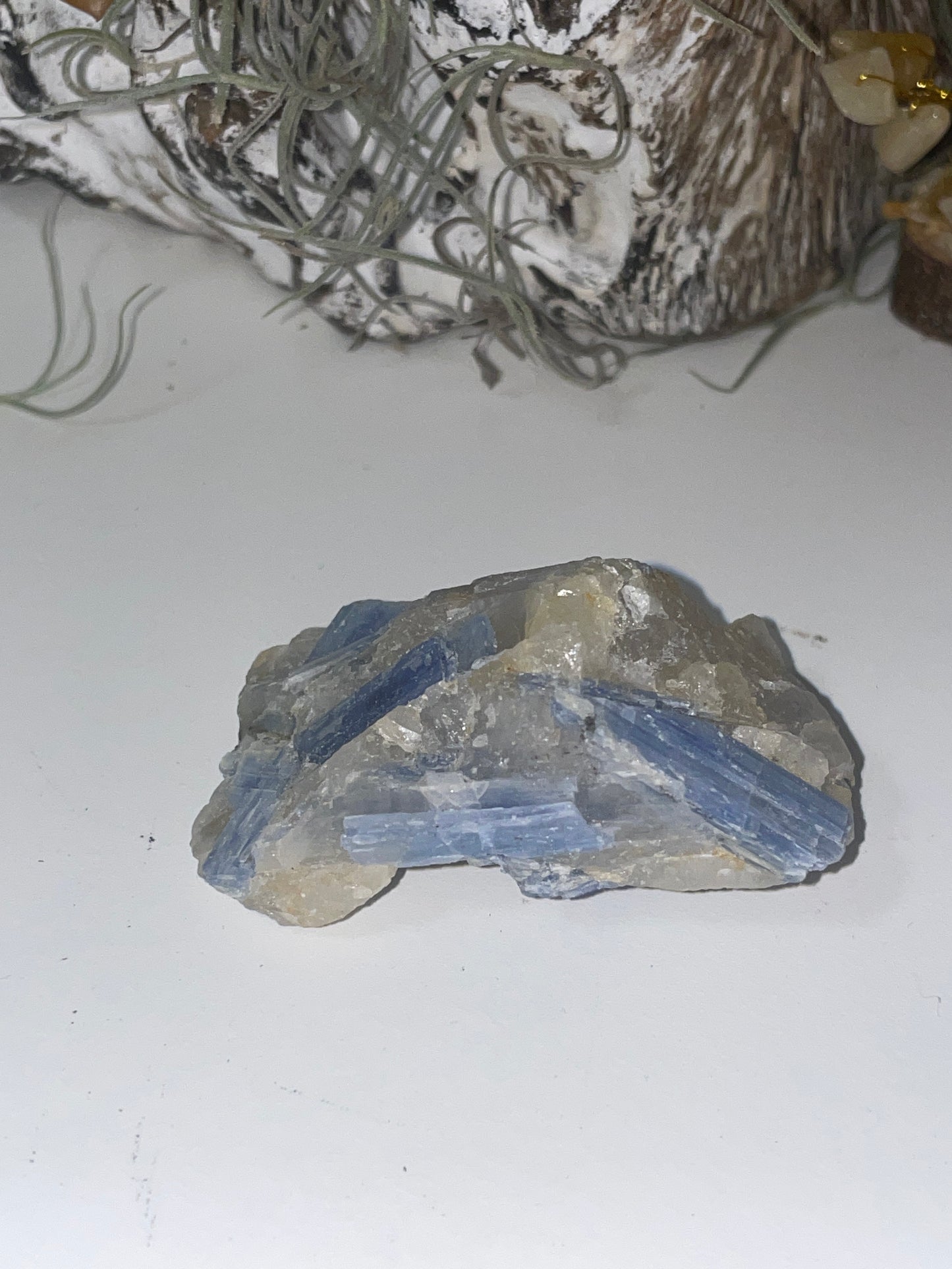 Blue kyanite cluster