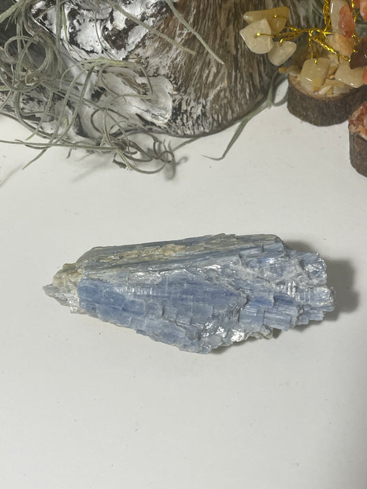 Blue kyanite cluster