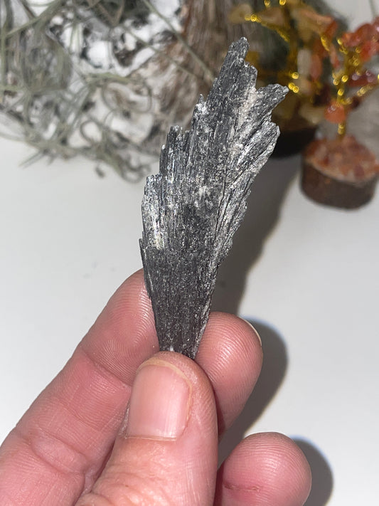 Black kyanite spray