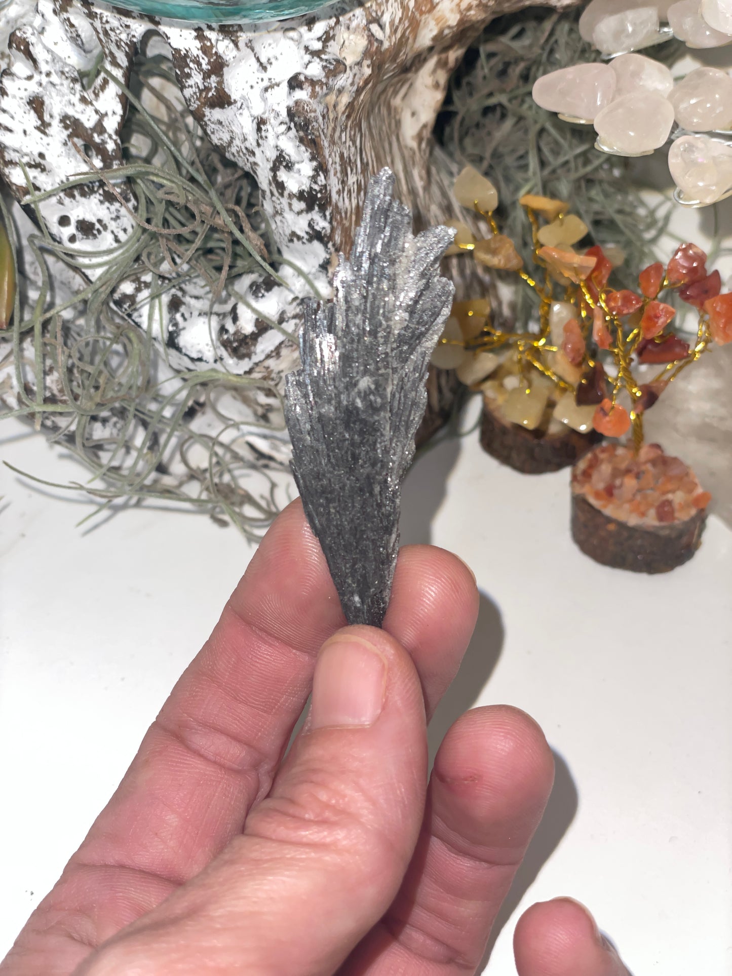 Black kyanite spray