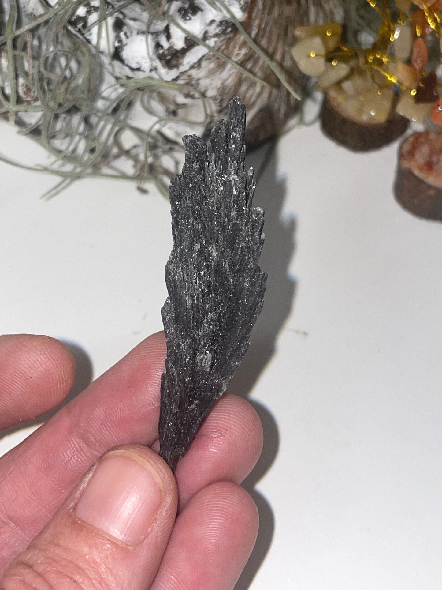 Black kyanite spray