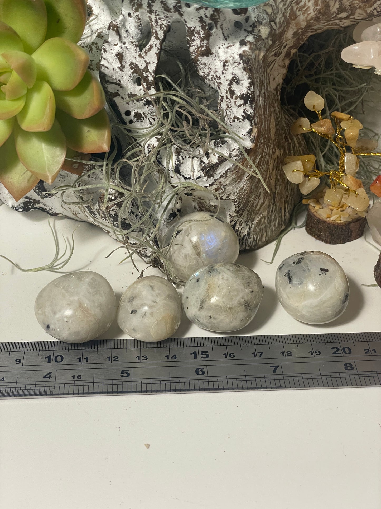 Moonstone tumbles