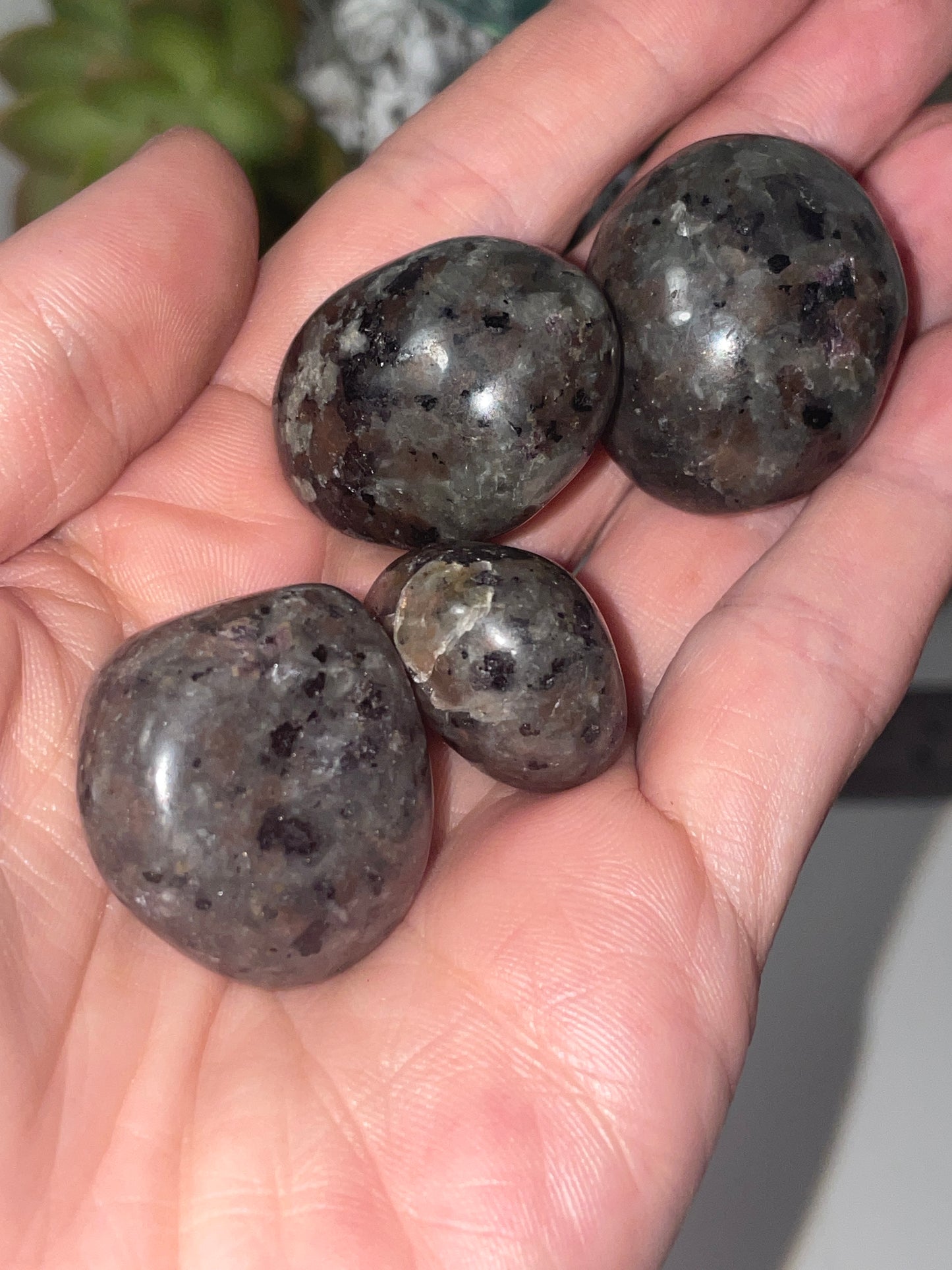 Yooperlite tumble stones