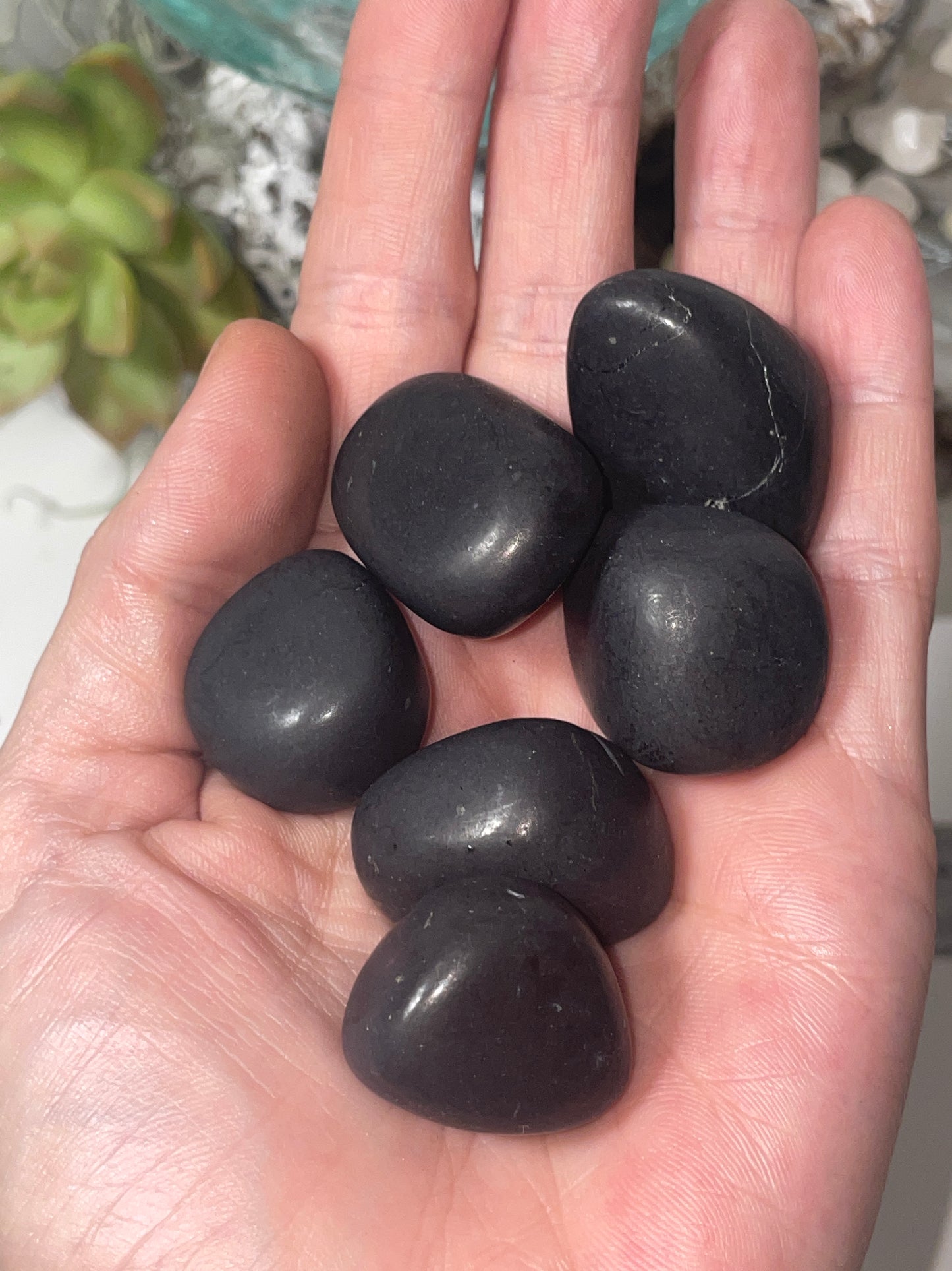 shungite tumbled stones